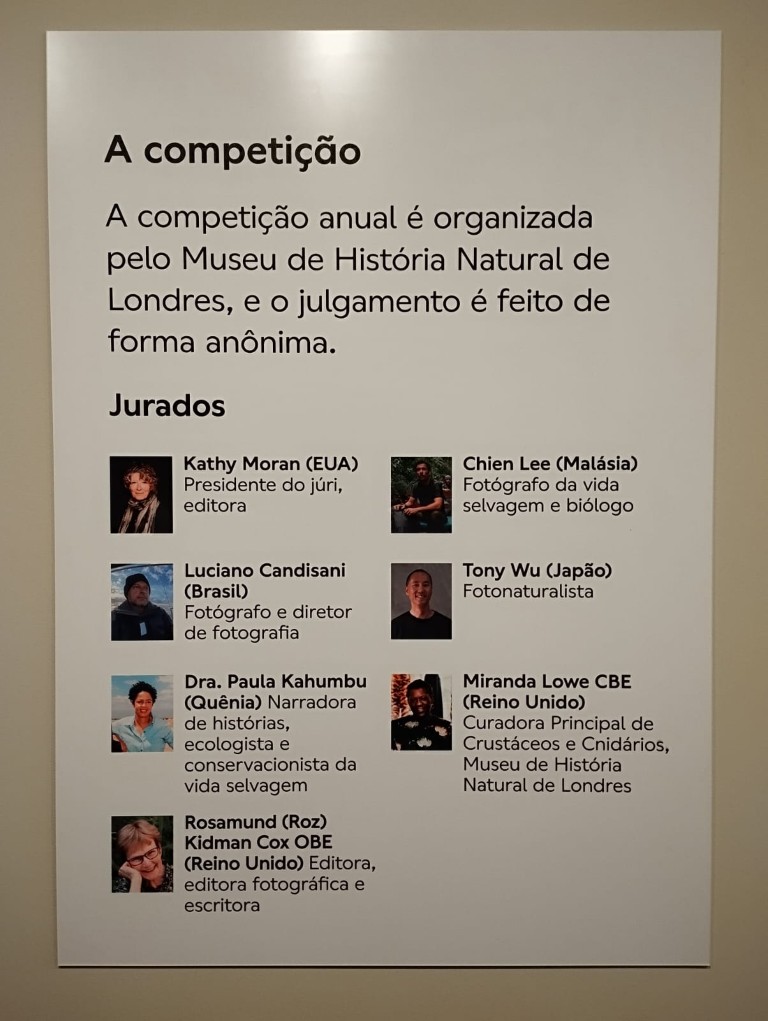 joao-pompeu_wildlife-photographer-3